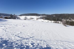 verschneite Wiesen zwischen Steina und Balzhausen