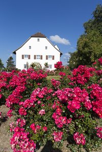 Blütenpracht im Sortimentsgarten von Nöggenschwiel