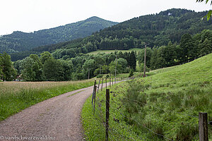 Mühlenwanderweg Simonswald