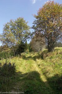 Wanderweg bei Oberfischbach