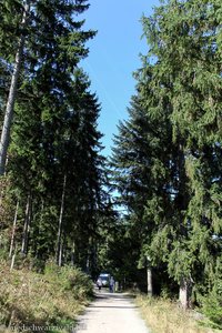 Wanderweg zwischen Schluchsee-Staumauer und Aha