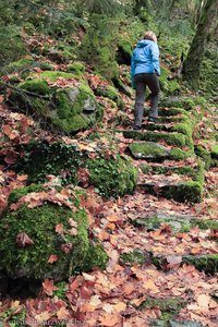 Aufstieg zur Burg Wieladingen