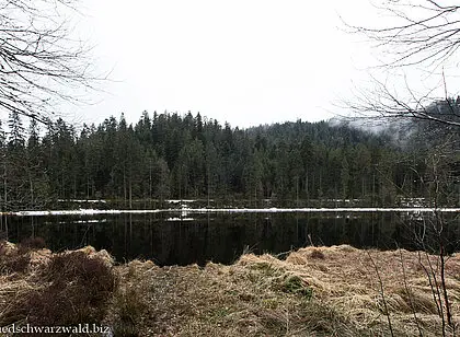 Wanderung zum Schurmsee und Blindsee