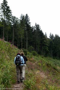 Wanderung von Neuenweg zum Nonnenmattweiher