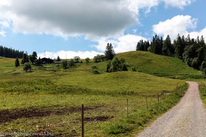 Aufstieg zur Krunkelbachhütte