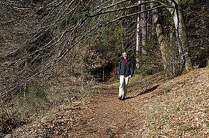 Wanderung auf dem Satteleisteig