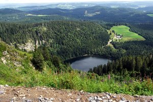 Blick vom Seebuck auf den Feldsee, dem Auge des Feldbergs 