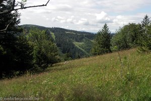 endlich in Ruhe am Feldberg