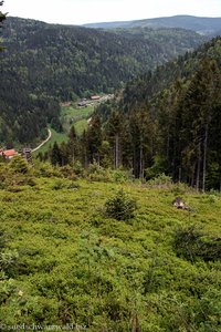 Albtal, Blick nach Urberg