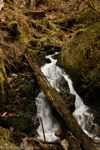 Wasserfall in der Lotenbachklamm