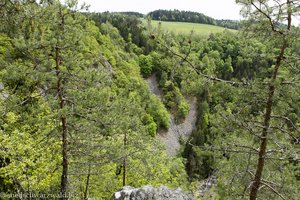 Aussicht vom Schwedenfelsen über das Schlüchttal