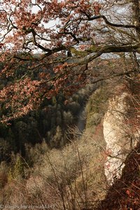 Blick von den Wutachflühen hinab in den Canyon