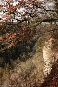 Blick von den Wutachflühen hinab in den Canyon