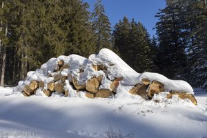 eingeschneite Baumstämme am Wegrand