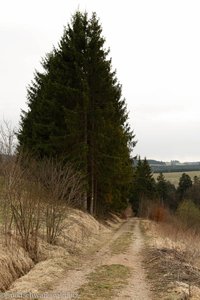 Schluchtensteig Südschwarzwald - Wanderweg über die Glöcklerheide