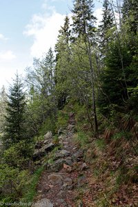 Naturlehrpfad zwischen Rinken und Zastler