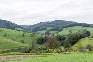 Blick über das Tal vom Waldshutbach
