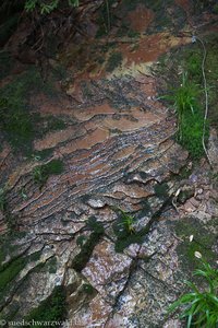 nasse Felsen auf der Eiszeit-Tour bei Baiersbronn