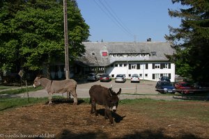 Hotel Hochkopfhaus