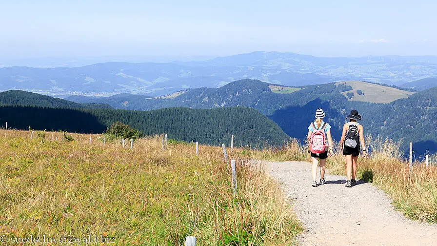 Aussicht beim Feldberg-Gipfel