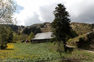 Endmoräne des ehemaliger Zastler-Gletschers