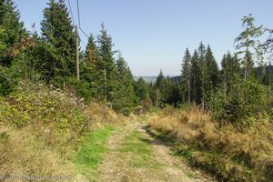 Weg von Oberfischbach nach Schwende