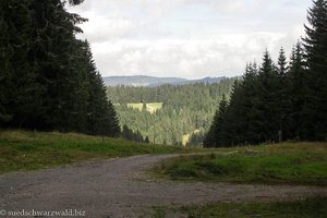 nach der Hohlgass ( 1128 m) öffnet sich die Landschaft in Richtung Altglashütten