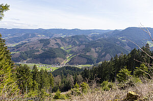 Ausblick vom Löcherbergwasen