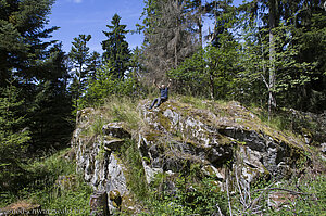 Wanderung auf dem Rappenfelsensteig