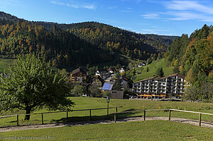 Aussicht über das Tonbachtal