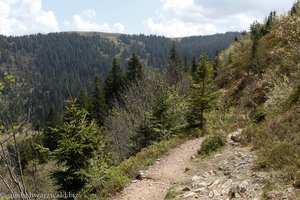 Feldbergsteig oberhalb des Zastler