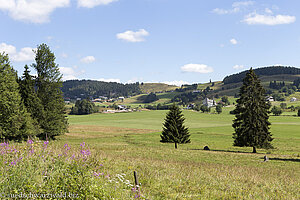 Weidfelder im Ibacher Hochtal