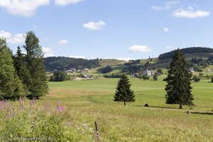 Weidfelder im Ibacher Hochtal