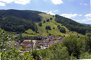 Aussicht über Todtnau aufs Hasenhorn