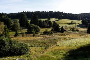 Landschaft im oberen Hotzenwald