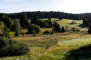 Lochhäuser Hochmoor