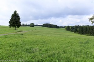 ausgedehnte Grünfläche oberhalb der Steinahalde