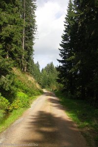 zwischen Schluchsee und Altglashütten