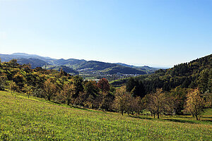 Malerische Aussicht vom Hexensteig
