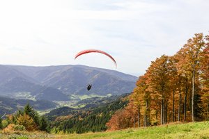 Gleitschirmfliegen am Tafelbühl