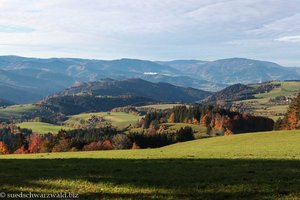 Schwarwaldlandschaft zwischen Feldberg und der Oberibentaler Allmend