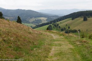 Wanderweg auf den Weiherfelsen