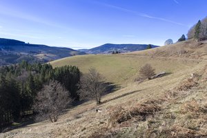 Aussicht über das Wiesental zum Zeller Blauen