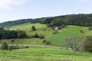 Wiesen und Windkraftrad bei Brettental