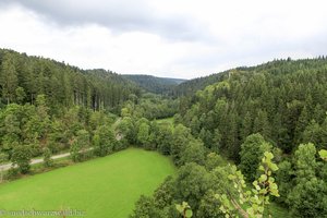 Blick von der Burgruine Roggenbach über das Steinatal, rechts die Steinegg