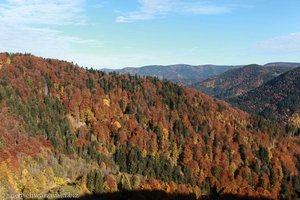 Aussicht vom Hohwartsfelsen