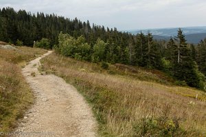 Westweg direkt unterhalb des Grüblesattels