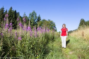 Genießerpfad Ibacher Panoramaweg