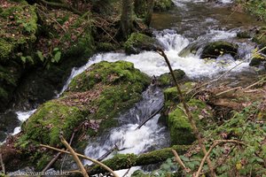 Seelbach unterhalb der Wickartsmühle