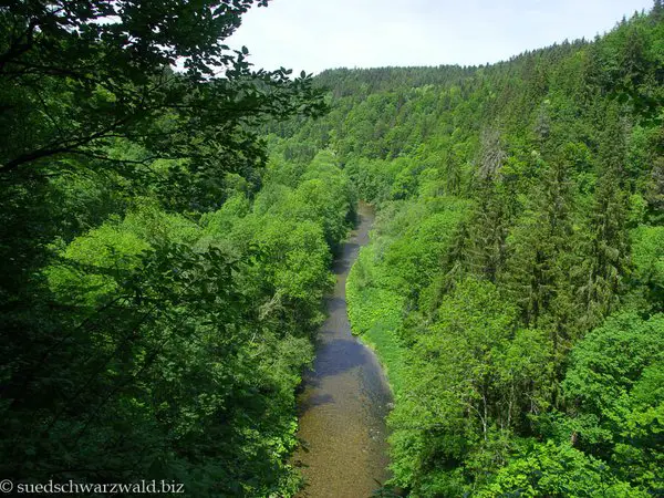 Die Wutachschlucht im Wutachgebiet